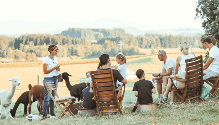 Weidezeit mit Alpakas auf der Weide