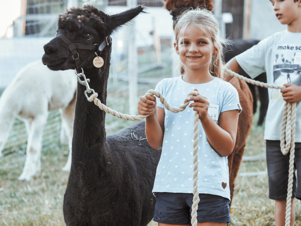 Kindergeburtstag feiern mit Alpakas