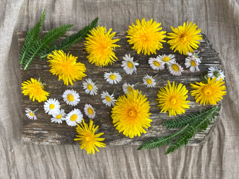 Kräuterworkshop im Unterallgäu