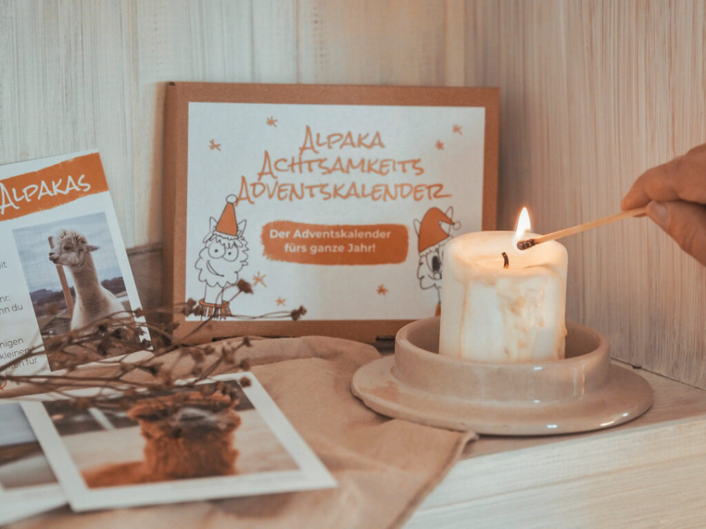Alpaka-Weihnachten