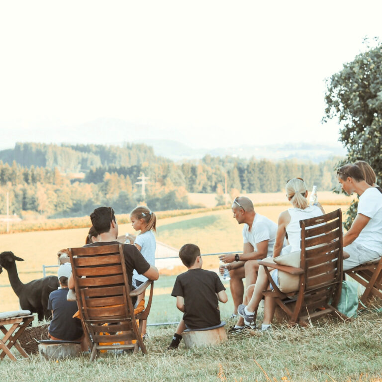 Feierabendprogramm im Allgäu: Weidezeit auf der Alpakaweide