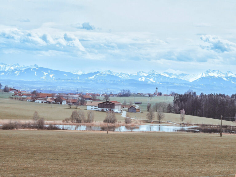Alpaka-Panorama mit Bergblick