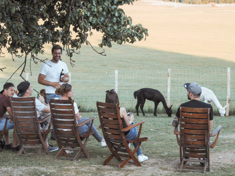 Feierabend auf der Alpakaweide Oberallgäu